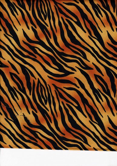 safari life tigre - Clicca l'immagine per chiudere