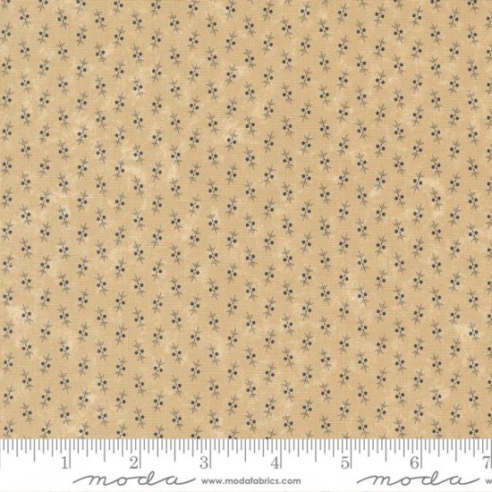COLLEZIONE KANSAS BACK TO BASICS 9724 11 - Clicca l'immagine per chiudere