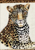 safari life Leopardo