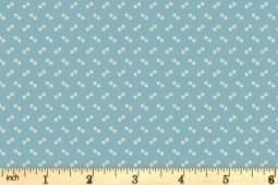 blueberry10478-B