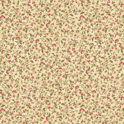 COLLEZIONE STAR OF WONDER 17061 07