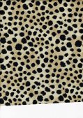 safari life leopardo macchie chiare