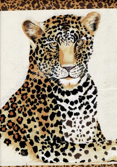 safari life Leopardo - Clicca l'immagine per chiudere