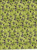 COLLEZIONE PANSY'S POISIES 48723 17