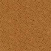 Kansas Prairie Dreams 9657_122