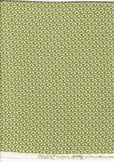 spring chicken 55528-13 - Clicca l'immagine per chiudere
