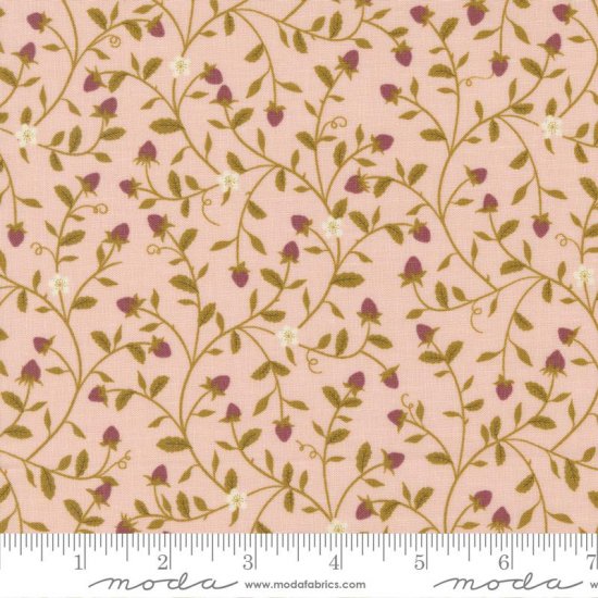 COLLEZIONE EVERMORE 43151 12 - Clicca l'immagine per chiudere