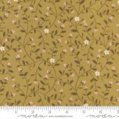COLLEZIONE EVERMORE 43151 13