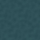 COLLEZIONE STAR OF WONDER 17068 84