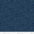 Henry glass Seeing stars 3556-77 Henry glass Seeing stars 3556-77