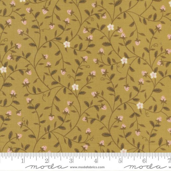 COLLEZIONE EVERMORE 43151 13 - Clicca l'immagine per chiudere