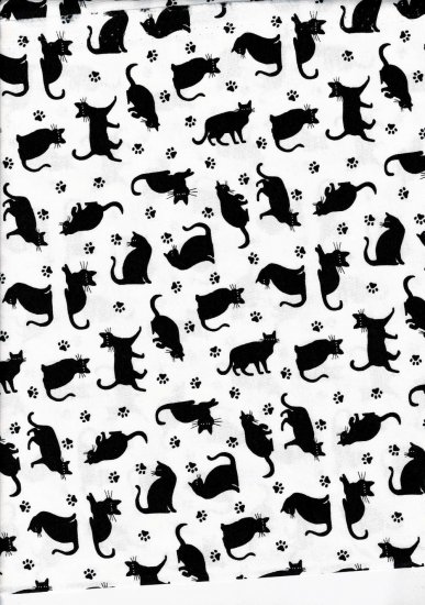 Bianco gatti neri - Clicca l'immagine per chiudere
