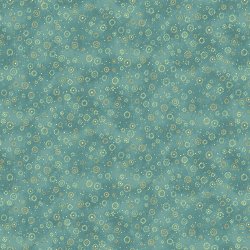 COLLEZIONE STAR OF WONDER 17063 24