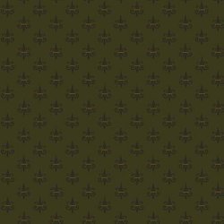 COLLEZIONE KIM DIEHL RIGHTASRAIN 9831-66 verde