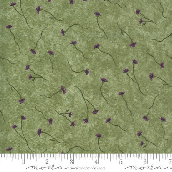 VIOLET HILL 6824-11 - Clicca l'immagine per chiudere