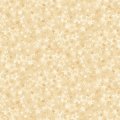 COLLEZIONE STAR OF WONDER 17064 07