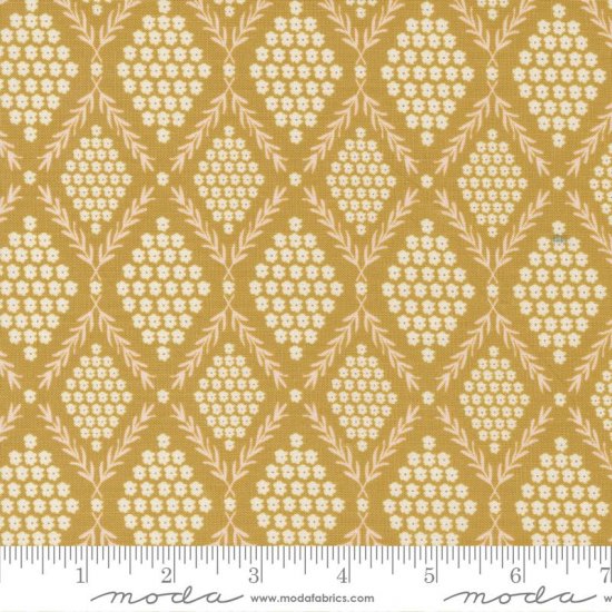 COLLEZIONE EVERMORE 43153 13 - Clicca l'immagine per chiudere