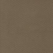 Prairie Gatherings Flanell 49316 14F Prairie Gatherings Flanell 49316 14F