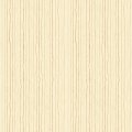 COLLEZIONE STAR OF WONDER 17067 07