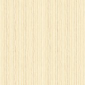 COLLEZIONE STAR OF WONDER 17067 07