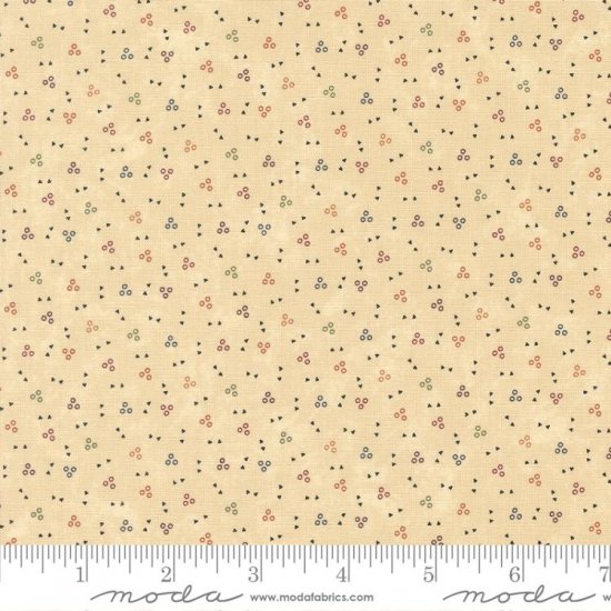 COLLEZIONE KANSAS BACK TO BASICS 9725 11 - Clicca l'immagine per chiudere