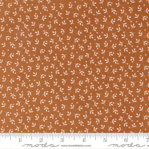 COLLEZIONE SUNRISE SIDE 14965-13 - Clicca l'immagine per chiudere